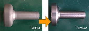 Forgings and products