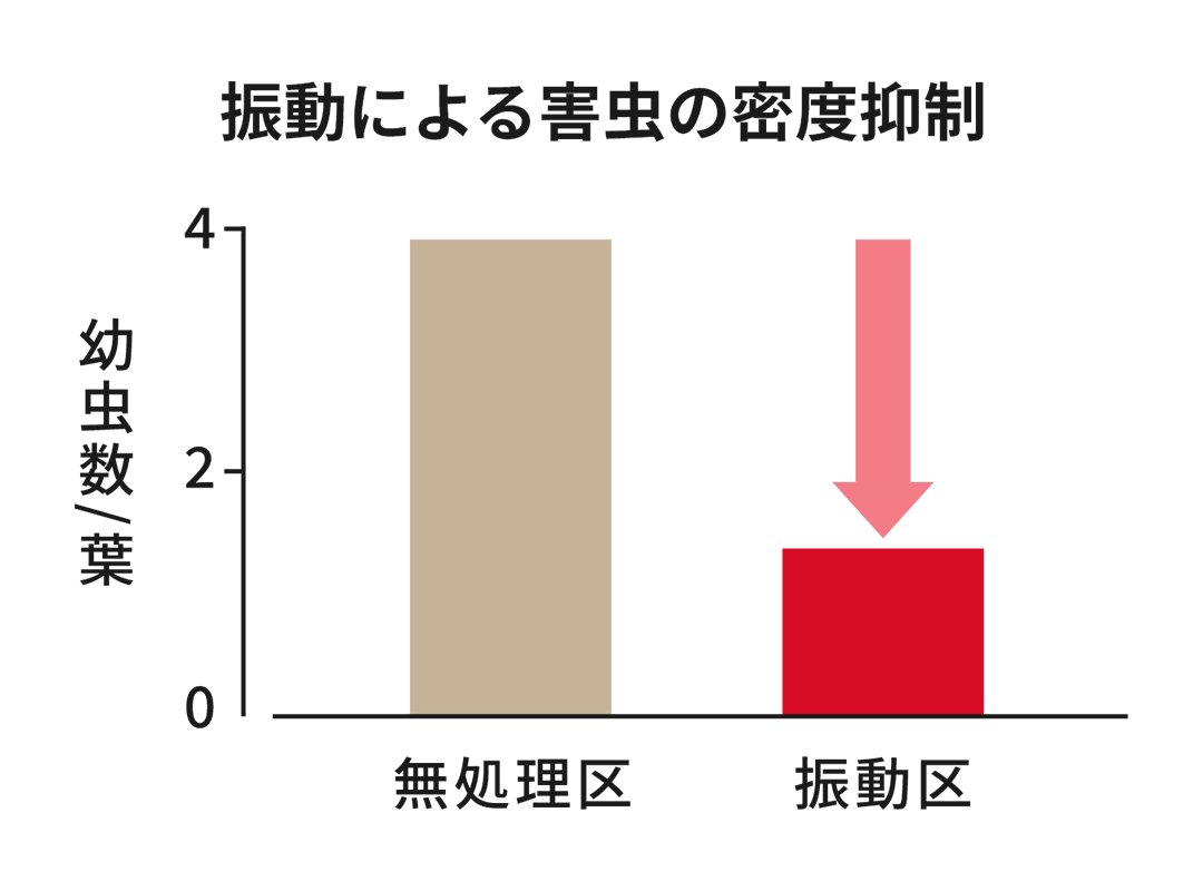振動による害虫の密度抑制